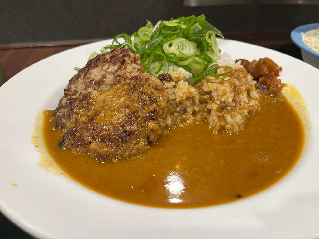 ねぎたっぷりハンバーグスパイスカレー