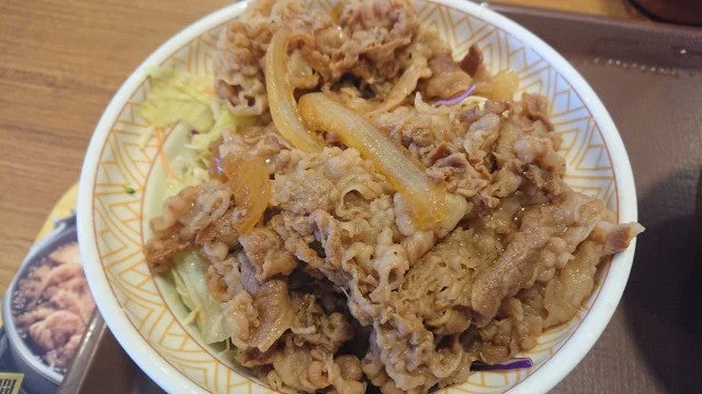すき家の牛丼ライト肉大盛り