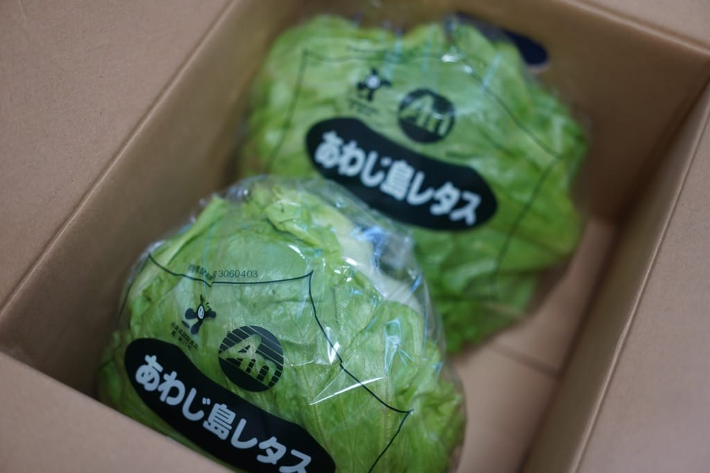 あわじ島レタス何やってきた